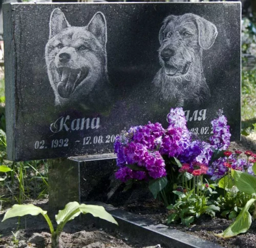 Памятники животным